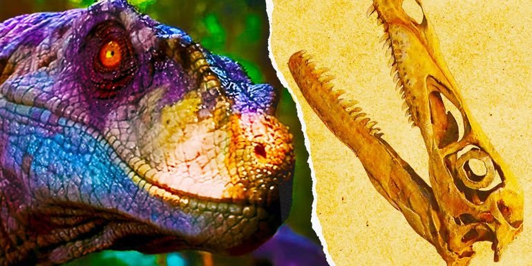 The Inaccurate Dinosaurs of Jurassic Park: A Comparative Analysis