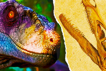 The Inaccurate Dinosaurs of Jurassic Park: A Comparative Analysis