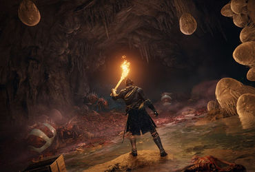 Exciting News for Elden Ring Fans: Shadow of the Erdtree DLC Update