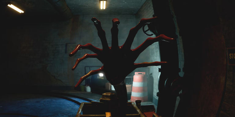 Zoochosis: A Petrifying Night at the Zoo