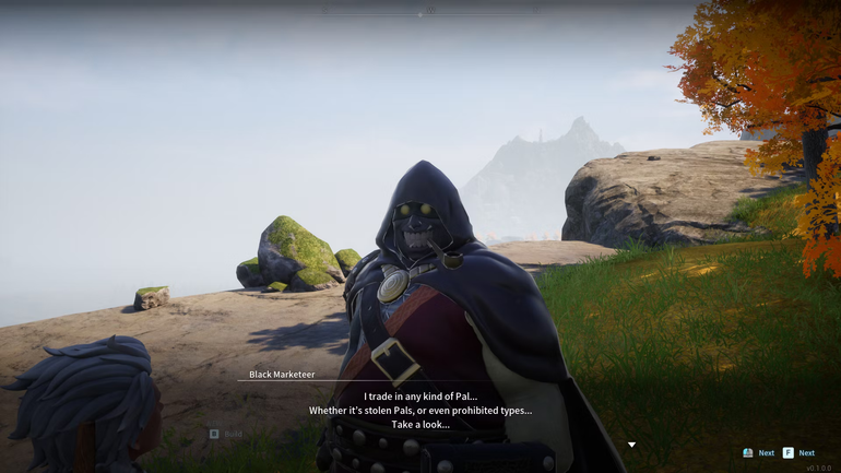 A Black Marketeer in Palworld