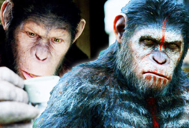 The Rise of the Simian Flu: A Tale of Evolution and Catastrophe