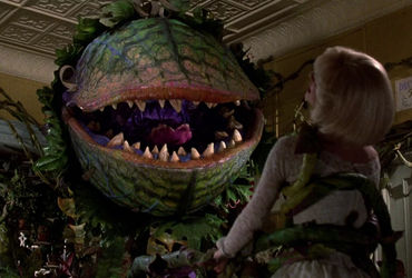 9 Movie Remakes That Stand Out on Their Own