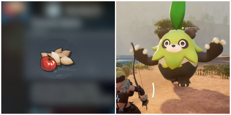 Unlocking the Green Treasure: A Guide to Obtaining Tomato Seeds in Palworld
