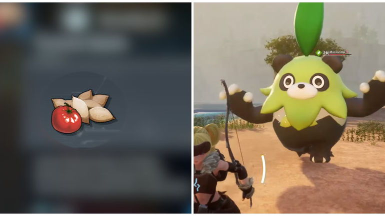 Unlocking the Green Treasure: A Guide to Obtaining Tomato Seeds in Palworld