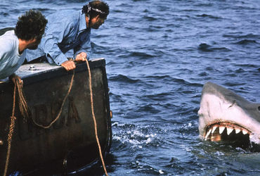 The Enduring Legacy of Jaws: A Horror Franchise Like No Other