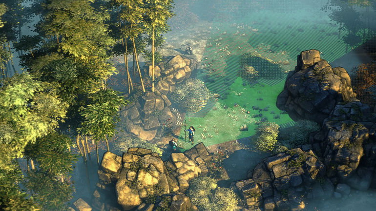 shadow tactics forest