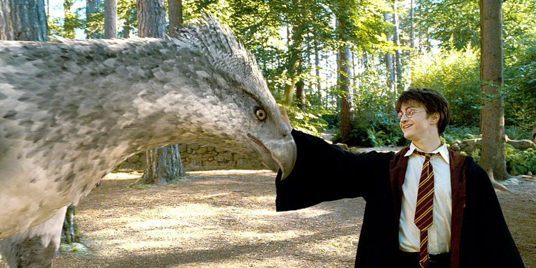 Harry patting the Hippogriff Buckbeak in Harry Potter and the Prisoner of Azkaban