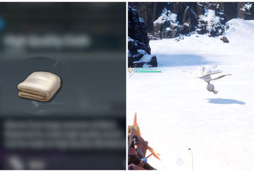 Mastering the Art of Acquiring High Quality Cloth in Palworld