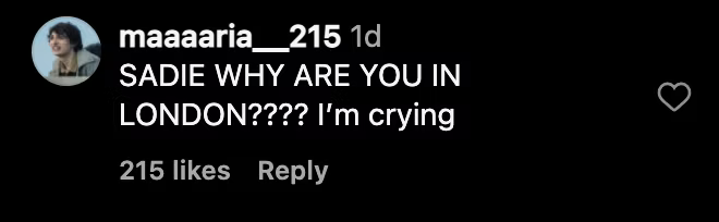 Screenshot of Instagram comment expressing concern for Max in Stranger Things season 5