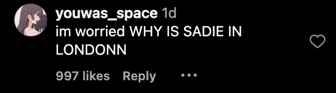 Screenshot of Instagram comment expressing concern for Max in Stranger Things season 5