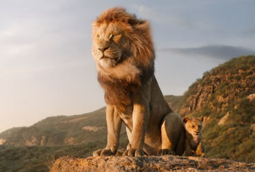Khám phá Mufasa: Người Vua Sư Tử - Bộ Phim Prequel Hấp Dẫn