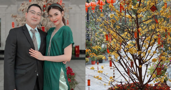 Hành Trình Trang Hoàng Biệt Phủ Sang Trọng của Lan Khuê Trước Năm Mới