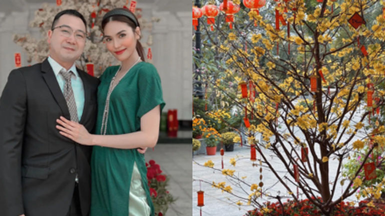 Hành Trình Trang Hoàng Biệt Phủ Sang Trọng của Lan Khuê Trước Năm Mới