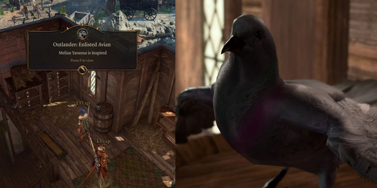 Unleash the Power of Inspiration Points in Baldur's Gate 3