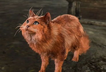 The Purrfect Adventure: Playing Baldur's Gate 3 as a Feline Fanatic