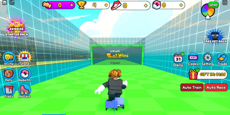 Roller Race Simulator: Character