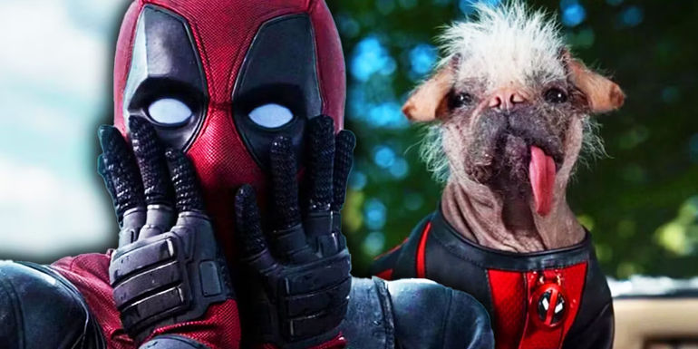 A Multiverse Mashup: The Exciting World of Deadpool 3
