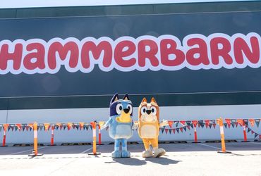 The Art of Co-Branding and Code Play in Modern Marketing