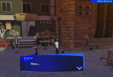 Unveiling the Feline Mystery in Persona 3 Reload