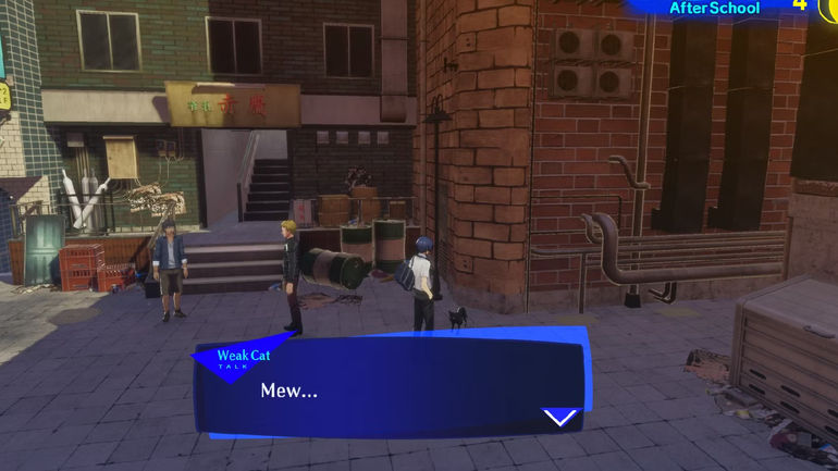 Unveiling the Feline Mystery in Persona 3 Reload