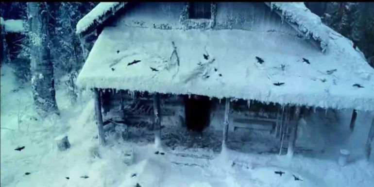 Dead birds on the cabin in Yellowjackets season 2, episode 3.