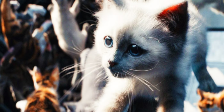 Flerken kittens float in zero gravity in The Marvels