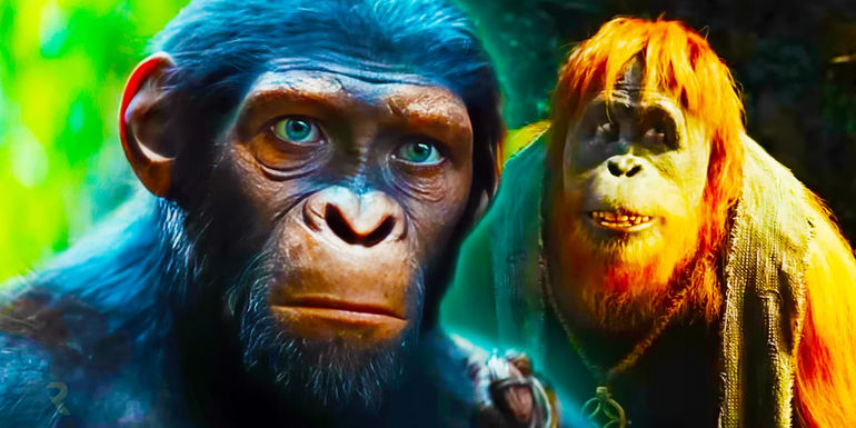 Kingdom of the Planet of the Apes cast guide