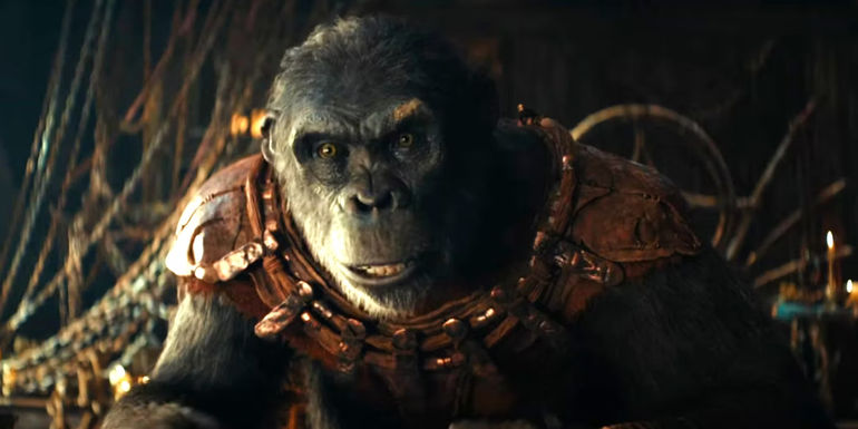 Proximus Caeser staring at Noa in Kingdom of the Planet of the Apes