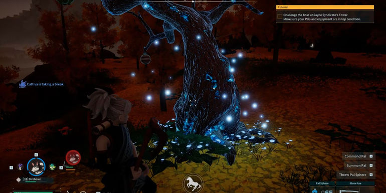 Skill Fruit Tree in Palworld