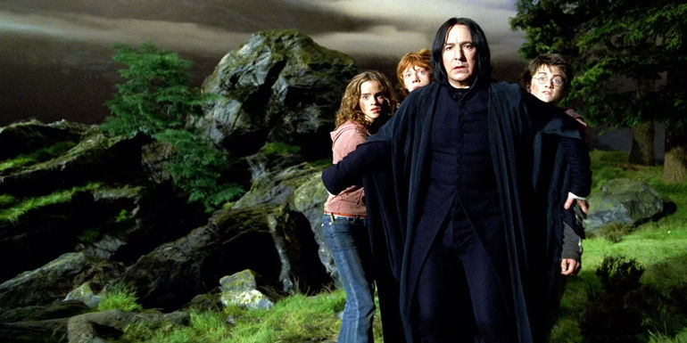 Snape shielding Harry, Ron, and Hermione in Harry Potter and that Prisoner of Azkaban