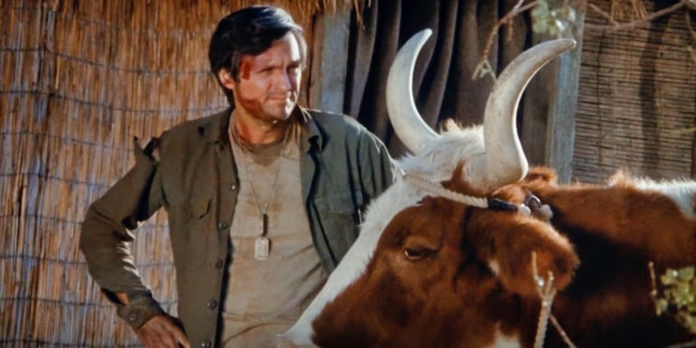 Alan Alda as Hawkeye talking to a cow in MASH season 4 episode _Hawkeye_