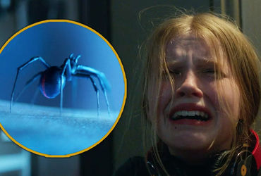 Unveiling the Thrills of Sting: A Must-Watch Horror Movie