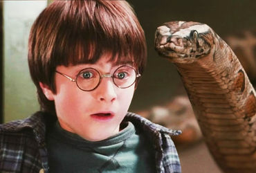 The Magical Connection: A Deep Dive into Harry Potter's Snake Encounter