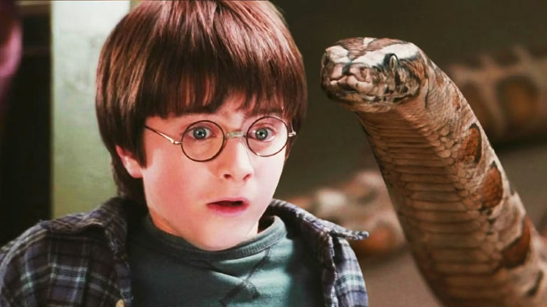 The Magical Connection: A Deep Dive into Harry Potter's Snake Encounter