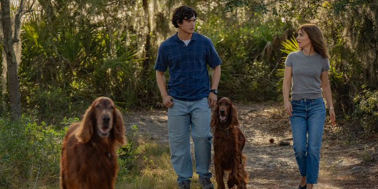 charles melton and natalie portman walk the dogs in may december