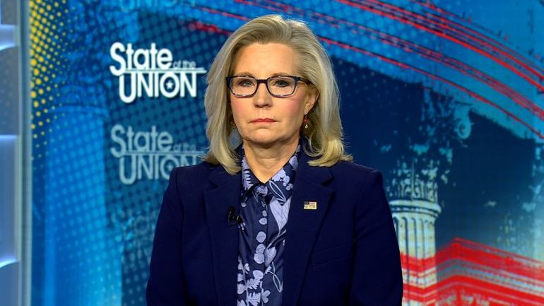 The Rise of Political Factions: A Closer Look at the Putin-Wing of the Republican Party