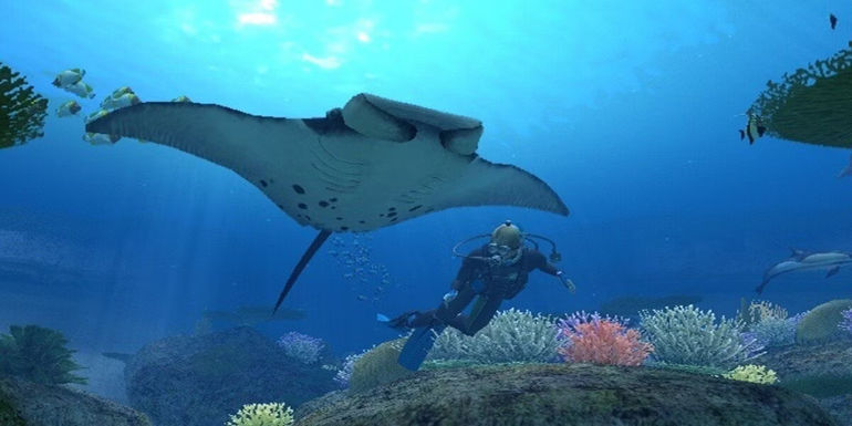 Person swimming underwater surrounded by sea life