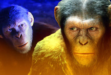 The Enigmatic World of Ape Kingdom: A Journey Beyond Caesar's Reign