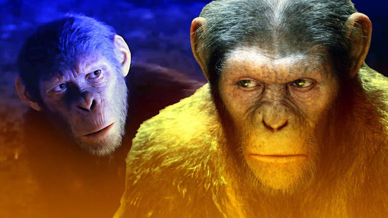 The Enigmatic World of Ape Kingdom: A Journey Beyond Caesar's Reign