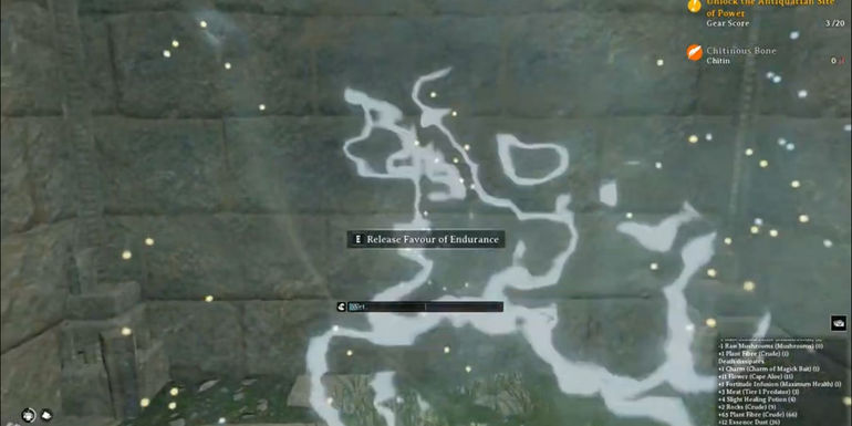 nightingale favour of endurance