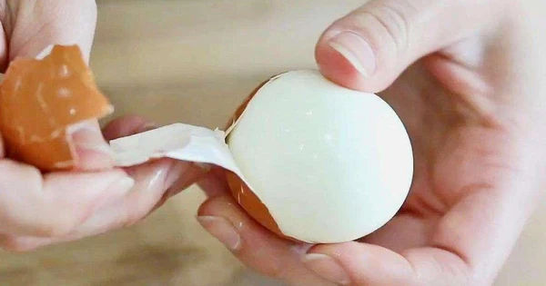 Bí Mật Hấp Dẫn Từ Mảng Vỏ Trứng Bạn Chưa Biết