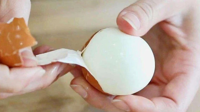 Bí Mật Hấp Dẫn Từ Mảng Vỏ Trứng Bạn Chưa Biết