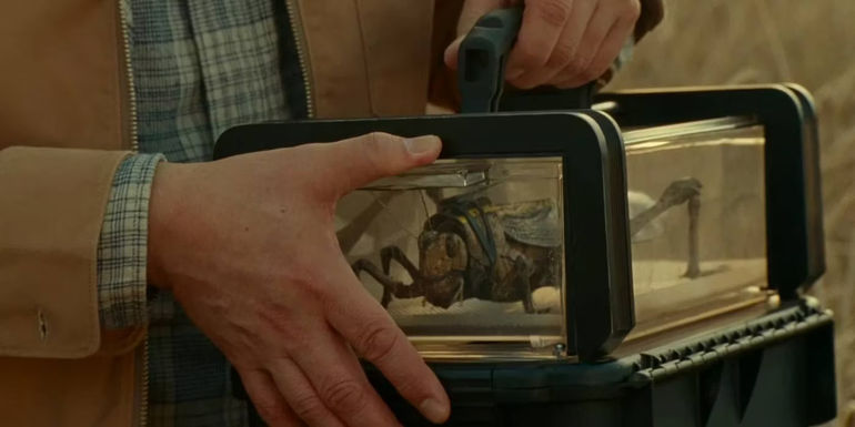 Giant locust in Jurassic World Dominion