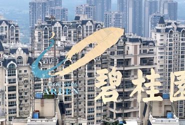 Challenges Faced by Chinese Real Estate Giant Country Garden
