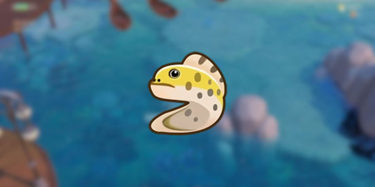 Exploring Coral Island: Ultimate Guide to Catching the Yellow Moray Eel