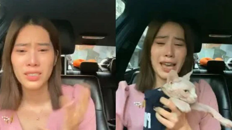 Những Bài Học Đắt Giá từ Các Nghệ Sĩ Việt Nam Trên Mạng Xã Hội