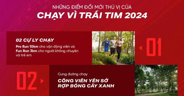 Chạy Vì Trái Tim 2024: Hành Trình Đầy Ấn Tượng