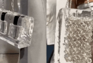 Sáng Tạo và Táo Bạo: Chiếc Túi Nước Đá của Jane Wade