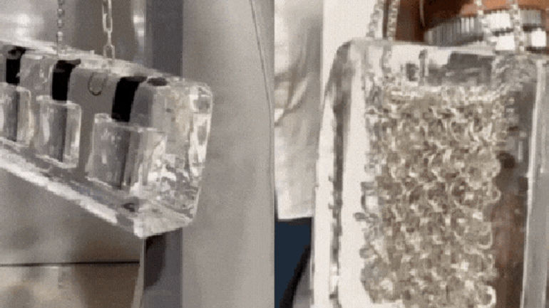 Sáng Tạo và Táo Bạo: Chiếc Túi Nước Đá của Jane Wade